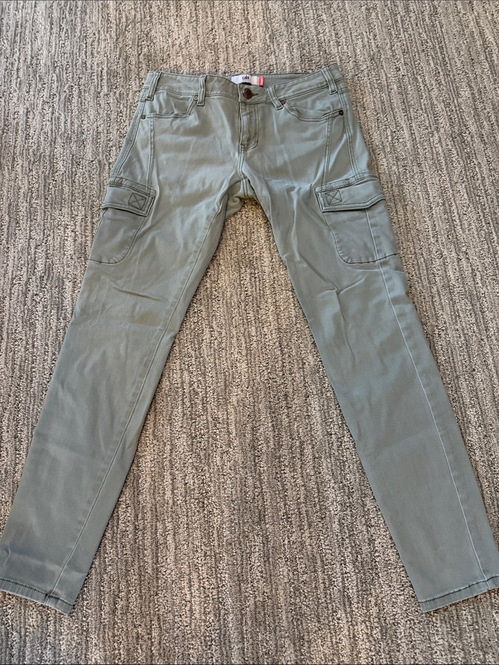 CAbi Men's Cargo Pants in Sage Green